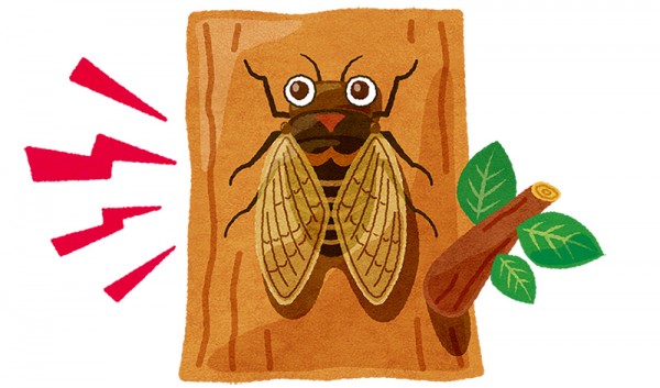 短命な蝉へ…蝉恐怖症対策アイテムの紹介サムネイル